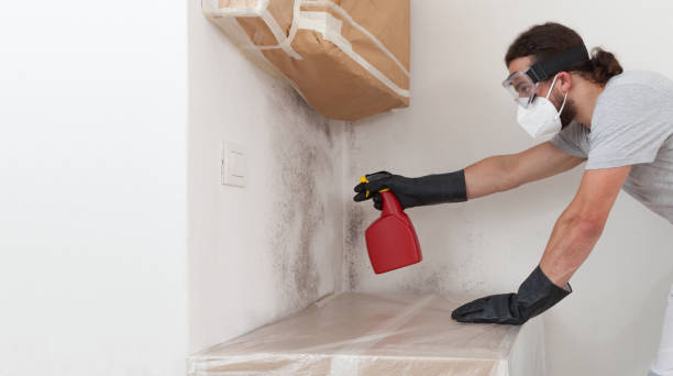 Attic Mold Remediation treatment on roof deck in Hayes